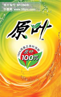与薰衣草的约会